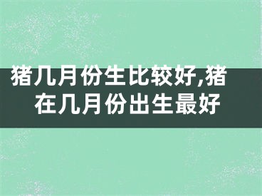 猪几月份生比较好,猪在几月份出生最好