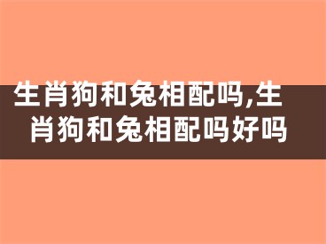 生肖狗和兔相配吗,生肖狗和兔相配吗好吗