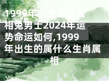 1999年出生生肖属相兔男士2024年运势命运如何,1999年出生的属什么生肖属相