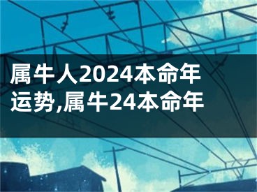 属牛人2024本命年运势,属牛24本命年