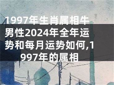 1997年生肖属相牛男性2024年全年运势和每月运势如何,1997年的属相