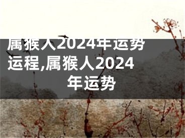 属猴人2024年运势运程,属猴人2024年运势