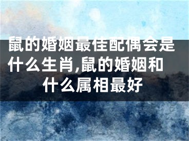 鼠的婚姻最佳配偶会是什么生肖,鼠的婚姻和什么属相最好