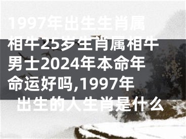 1997年出生生肖属相牛25岁生肖属相牛男士2024年本命年命运好吗,1997年出生的人生肖是什么