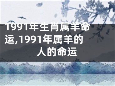 1991年生肖属羊命运,1991年属羊的人的命运