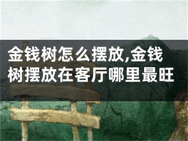 金钱树怎么摆放,金钱树摆放在客厅哪里最旺