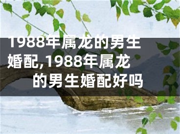 1988年属龙的男生婚配,1988年属龙的男生婚配好吗