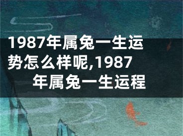 1987年属兔一生运势怎么样呢,1987年属兔一生运程