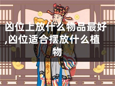 凶位上放什么物品最好,凶位适合摆放什么植物