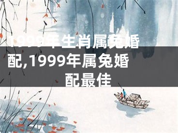 1999年生肖属兔婚配,1999年属兔婚配最佳