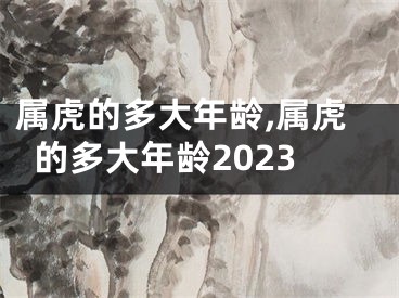 属虎的多大年龄,属虎的多大年龄2023