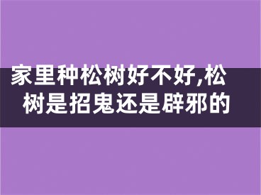 家里种松树好不好,松树是招鬼还是辟邪的