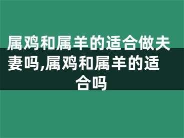 属鸡和属羊的适合做夫妻吗,属鸡和属羊的适合吗