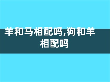 羊和马相配吗,狗和羊相配吗