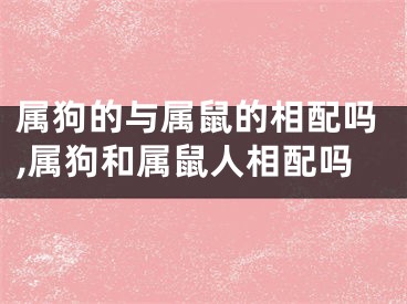 属狗的与属鼠的相配吗,属狗和属鼠人相配吗