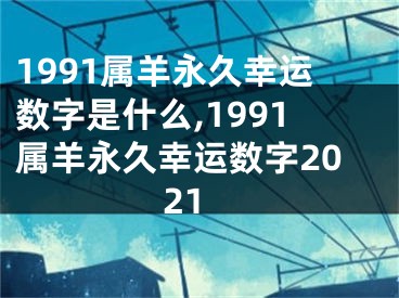 1991属羊永久幸运数字是什么,1991属羊永久幸运数字2021