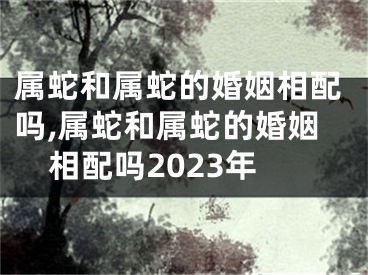 属蛇和属蛇的婚姻相配吗,属蛇和属蛇的婚姻相配吗2023年