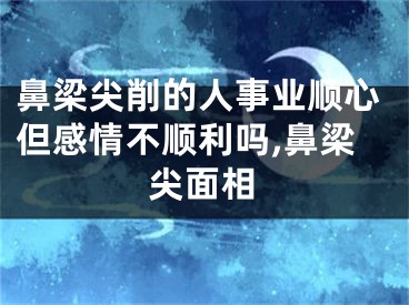 鼻梁尖削的人事业顺心但感情不顺利吗,鼻梁尖面相