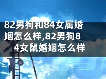 82男狗和84女属婚姻怎么样,82男狗84女鼠婚姻怎么样