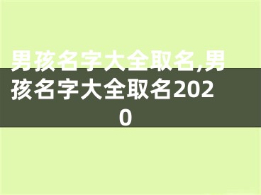 男孩名字大全取名,男孩名字大全取名2020