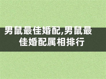 男鼠最佳婚配,男鼠最佳婚配属相排行