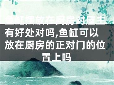 鱼缸摆放在厨房对屋主有好处对吗,鱼缸可以放在厨房的正对门的位置上吗