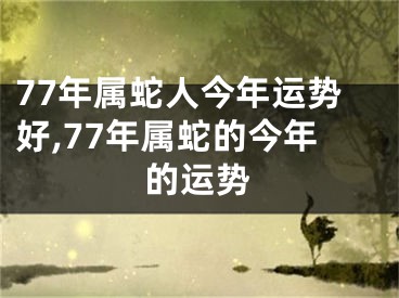 77年属蛇人今年运势好,77年属蛇的今年的运势