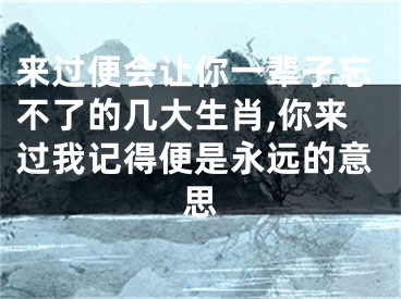 来过便会让你一辈子忘不了的几大生肖,你来过我记得便是永远的意思