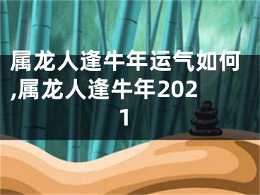 属龙人逢牛年运气如何,属龙人逢牛年2021