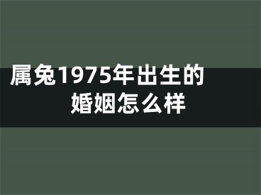 属兔1975年出生的婚姻怎么样