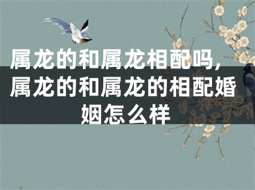 属龙的和属龙相配吗,属龙的和属龙的相配婚姻怎么样