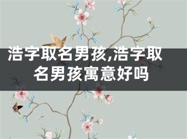 浩字取名男孩,浩字取名男孩寓意好吗