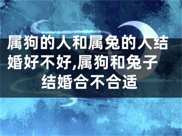 属狗的人和属兔的人结婚好不好,属狗和兔子结婚合不合适