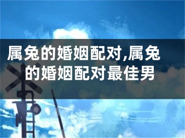 属兔的婚姻配对,属兔的婚姻配对最佳男