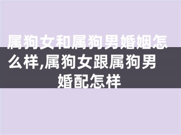 属狗女和属狗男婚姻怎么样,属狗女跟属狗男婚配怎样