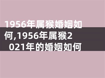 1956年属猴婚姻如何,1956年属猴2021年的婚姻如何