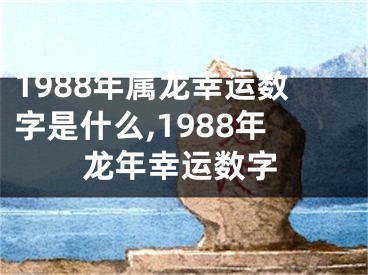 1988年属龙幸运数字是什么,1988年龙年幸运数字