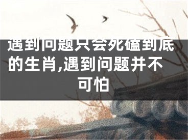 遇到问题只会死磕到底的生肖,遇到问题并不可怕