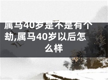 属马40岁是不是有个劫,属马40岁以后怎么样