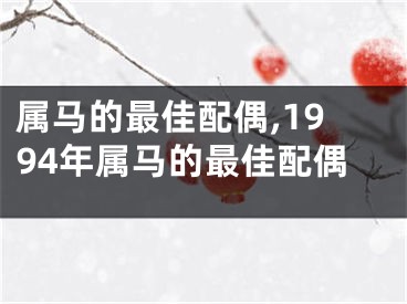 属马的最佳配偶,1994年属马的最佳配偶