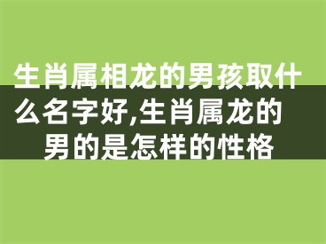 生肖属相龙的男孩取什么名字好,生肖属龙的男的是怎样的性格