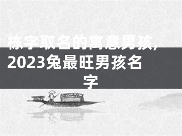 栋字取名的寓意男孩,2023兔最旺男孩名字