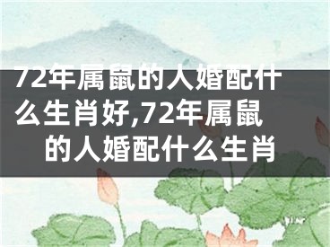 72年属鼠的人婚配什么生肖好,72年属鼠的人婚配什么生肖