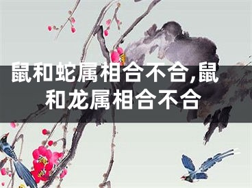 鼠和蛇属相合不合,鼠和龙属相合不合