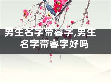 男生名字带睿字,男生名字带睿字好吗