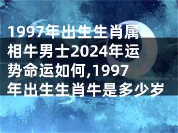 1997年出生生肖属相牛男士2024年运势命运如何,1997年出生生肖牛是多少岁