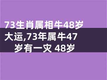 73生肖属相牛48岁大运,73年属牛47岁有一灾 48岁