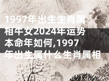 1997年出生生肖属相牛女2024年运势本命年如何,1997年出生属什么生肖属相