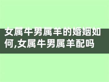 女属牛男属羊的婚姻如何,女属牛男属羊配吗