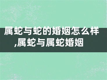 属蛇与蛇的婚姻怎么样,属蛇与属蛇婚姻